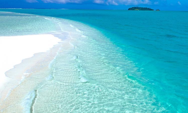 Little specks in a vast seascape